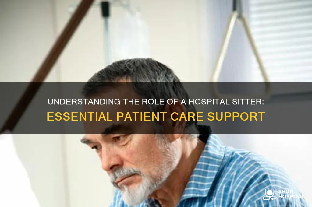 what is a hospital sitter