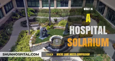 Exploring the Healing Benefits of Hospital Solariums: A Comprehensive Guide