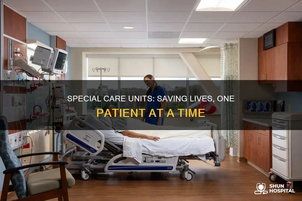 what is a hospital special care unit