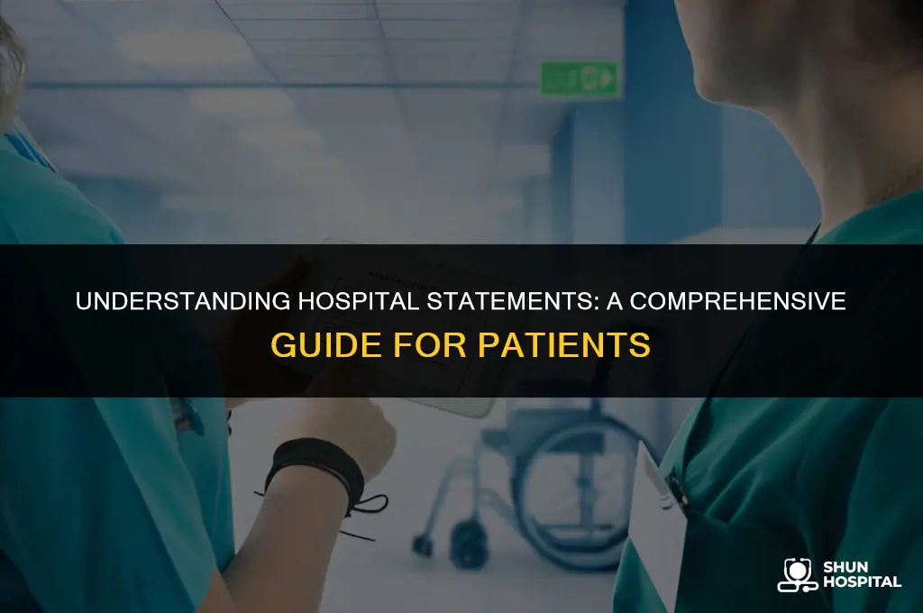what is a hospital statement