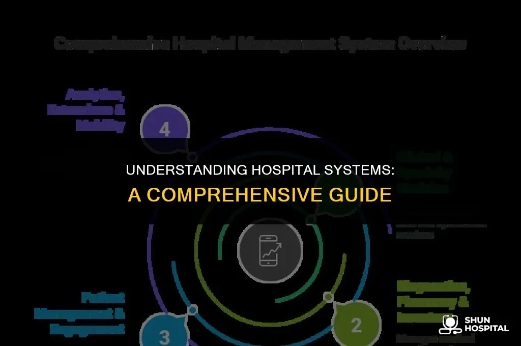 what is a hospital system
