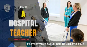 Exploring the Vital Role of Hospital Teachers in Patient Care