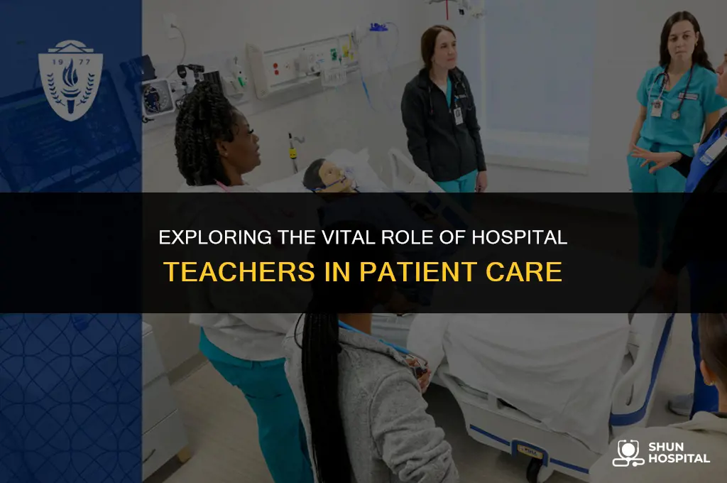 what is a hospital teacher