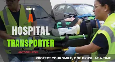Understanding the Role of a Hospital Transporter: Essential Duties Explained