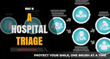 Navigating Emergency Care: Understanding the Hospital Triage Process
