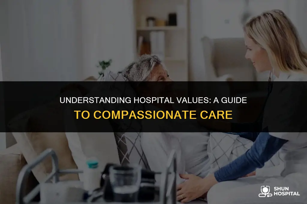what is a hospital values