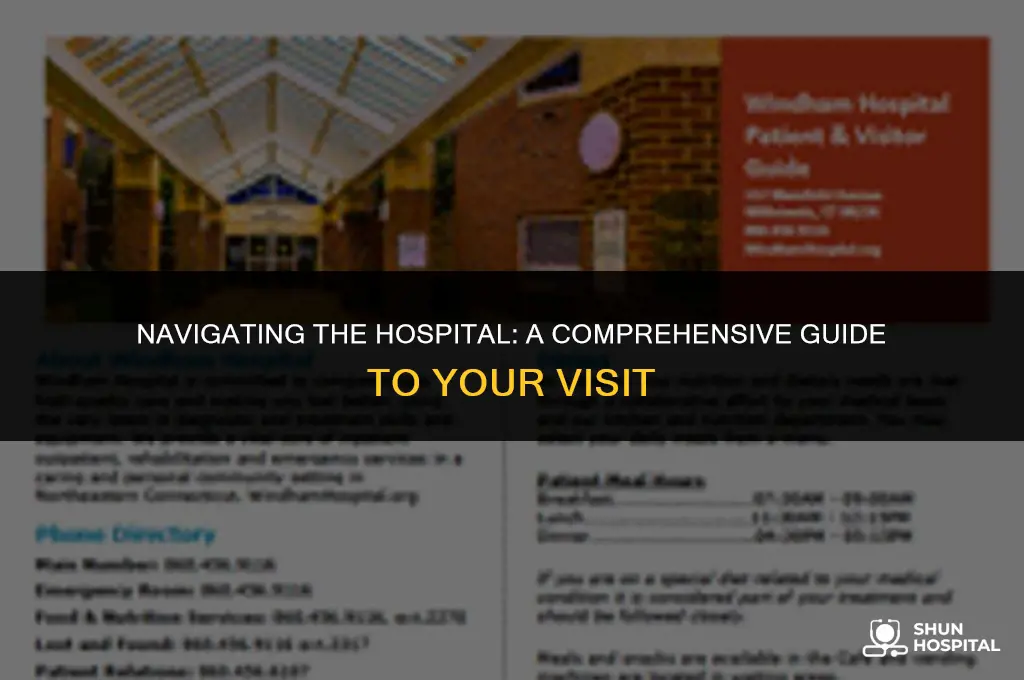 what is a hospital visit