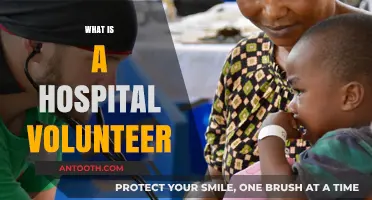 Exploring the Role and Impact of Hospital Volunteers