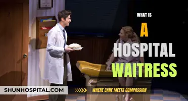 Understanding the Role of a Hospital Waitress: A Comprehensive Guide