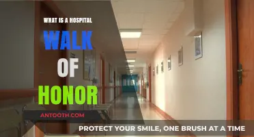Celebrating New Life: Hospital Walk of Honour