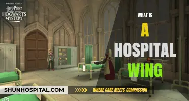 Exploring the Lifeline of Healthcare: What Is a Hospital Wing?