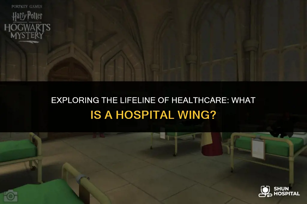 what is a hospital wing