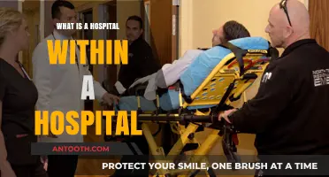 Hospital-in-Hospital: Revolutionizing Patient Care
