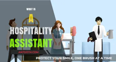 Exploring the Role of a Hospitality Assistant: Your Guide to Success