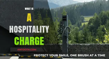 Understanding Hospitality Charges: A Guide for Travelers