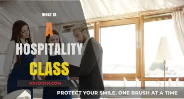 Exploring the Essentials of Hospitality Classes: A Comprehensive Guide