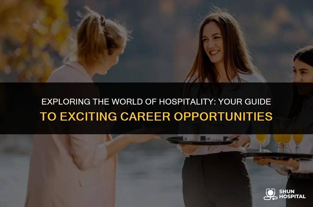 what is a hospitality course