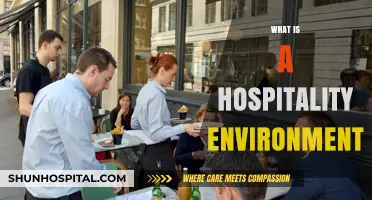 Understanding the Dynamics of a Hospitality Environment: A Comprehensive Guide