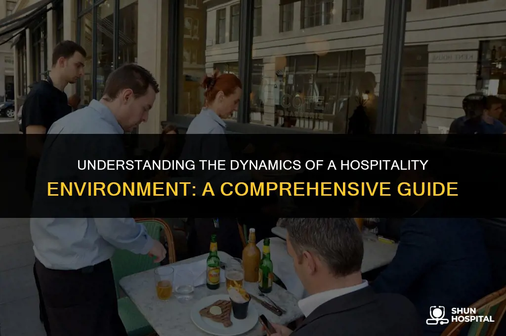 what is a hospitality environment