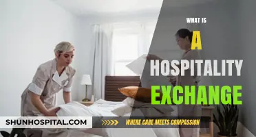 Exploring the Warmth of Hospitality Exchanges: A Beginner's Guide