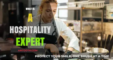 Exploring the Role of a Hospitality Expert: Insights and Skills