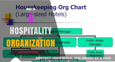 Understanding the Structure and Purpose of Hospitality Organizations