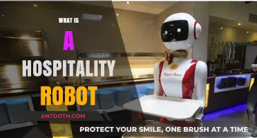 Exploring the Future of Hospitality: The Rise of Service Robots