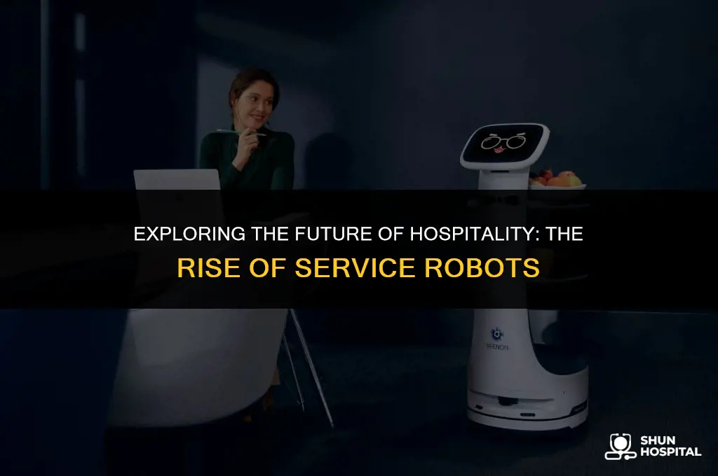 what is a hospitality robot