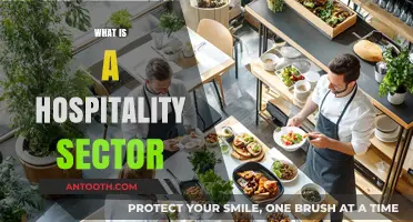 Exploring the Vibrant World of Hospitality: A Comprehensive Guide