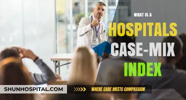 Understanding Hospital Performance: Case-Mix Index