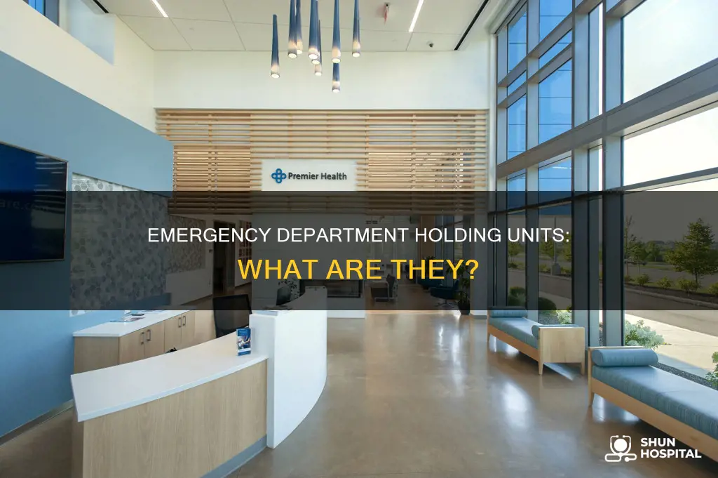 what is a hospitals ed holing unit