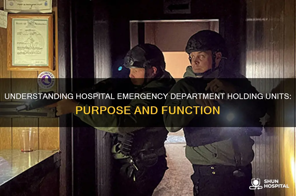 what is a hospital