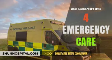 Understanding Level 4 Emergency Care in Hospitals: Comprehensive Critical Services