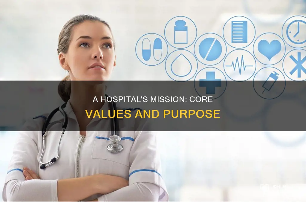 what is a hospital