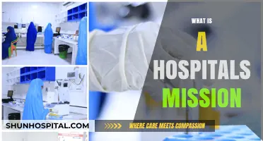 Understanding a Hospital's Mission: Beyond Healthcare Delivery