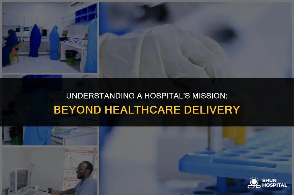 what is a hospitals mission