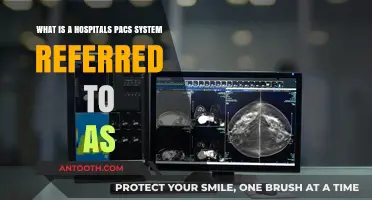 Understanding PACS: The Essential Imaging System in Modern Hospitals