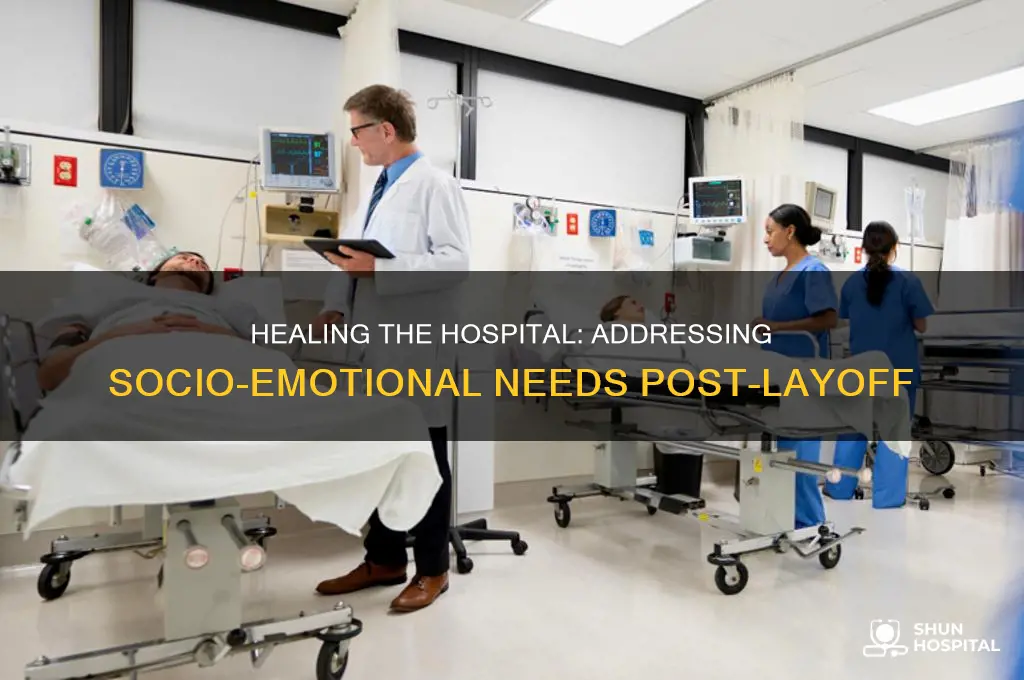 what is a hospitals socio-emotional needs after layoff
