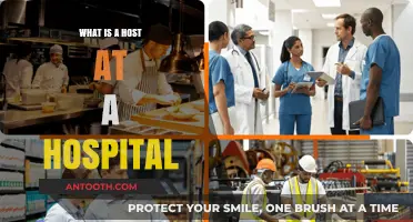 Hospital Hosts: Enhancing the Patient Experience