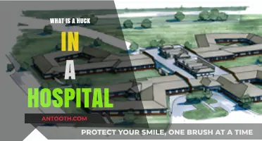 Understanding Hospital Huck: Its Role and Importance