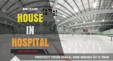Ice Houses: Hospital's Cold Storage Essentials