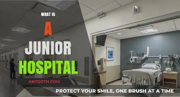 Understanding Junior Hospitals: A Guide for Aspiring Medical Professionals