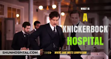 Exploring the Legacy and Services of Knickerbocker Hospital