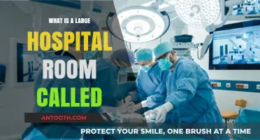 Large Hospital Rooms: What Are They Called?