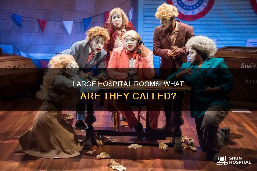 what is a large hospital room called