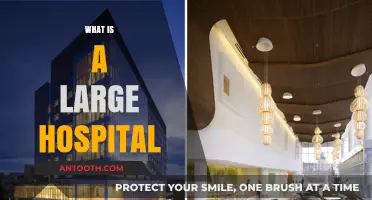 Exploring the Depths: What Constitutes a Large Hospital?
