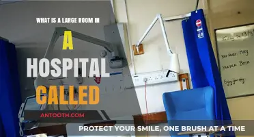 Understanding the Purpose of a Large Hospital Room: Ward or Unit?