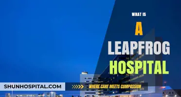 Transforming Healthcare: The Innovative Leapfrog Hospital Model