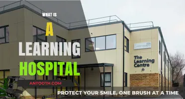 Exploring the Concept of Learning Hospitals: A Comprehensive Guide