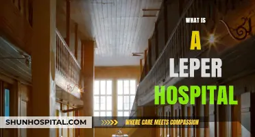 Unveiling the Mysteries of Leprosy: A Journey Through Time